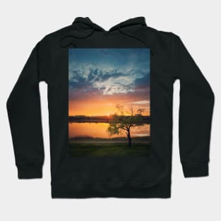 willow against sunset Hoodie